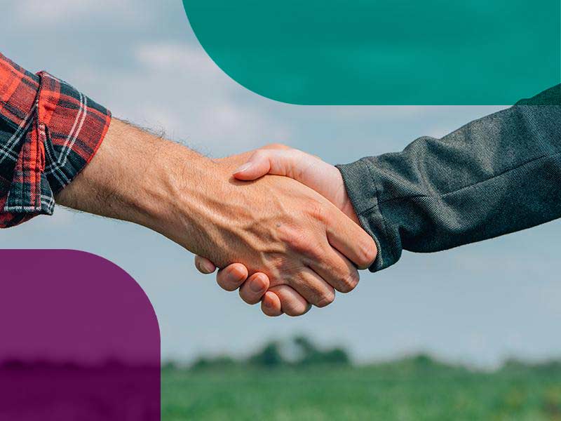 Seguro Garantia Contratual - imagem ilustrativa