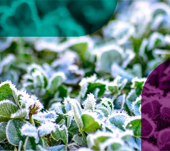 Imagem ilustrativa - paramétrico