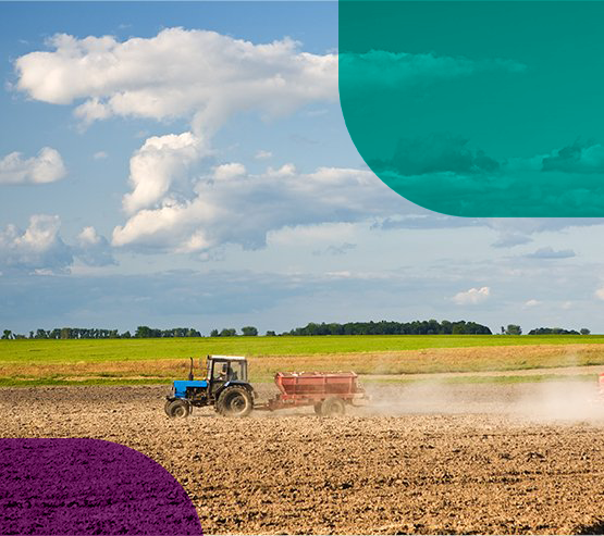 Seguro de Custeio - imagem ilustrativa